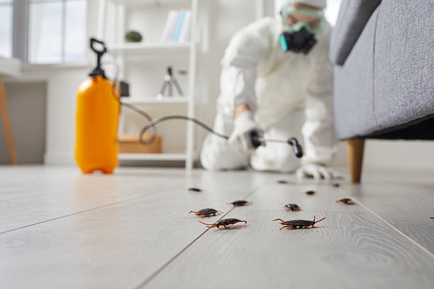 Trusted Termite Control service in Arcanum, OH - Nex Pest Control